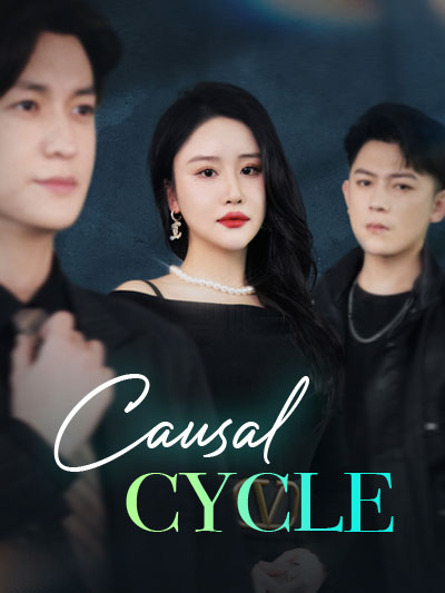 Poster Causal cycle