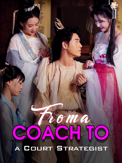 Poster From a Coach to a Court Strategist