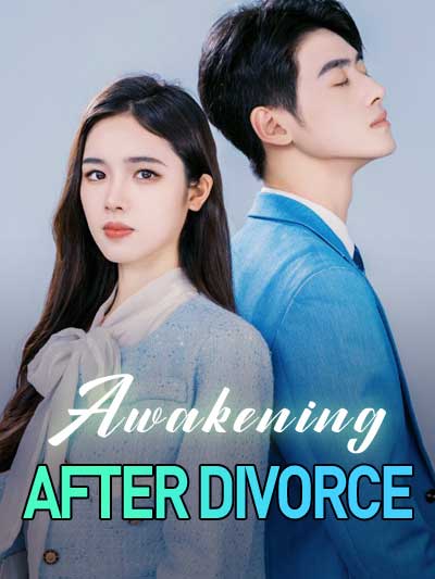 Poster Awakening After Divorce