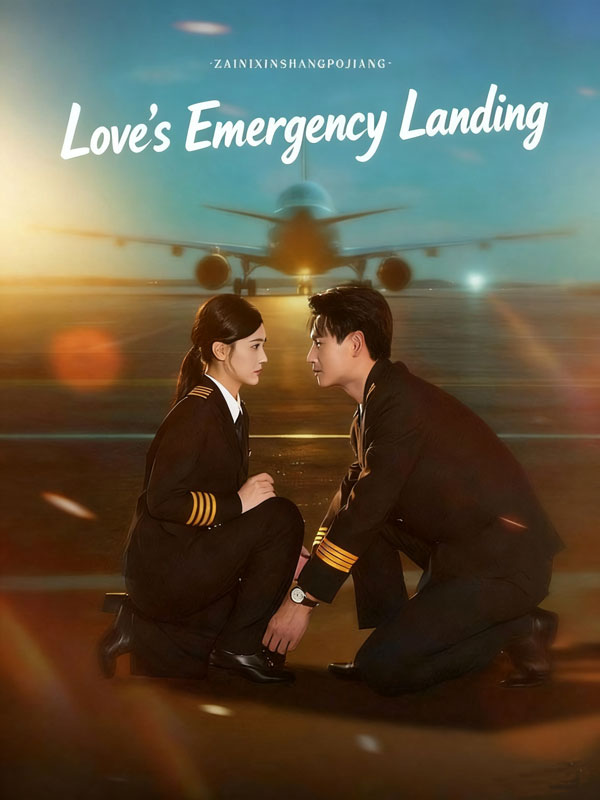 Poster Love's Emergency Landing